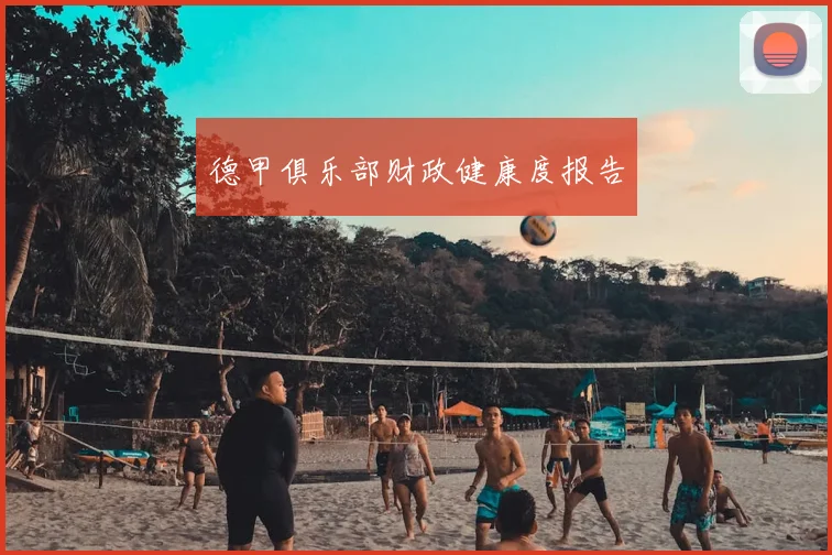 德甲俱乐部财政健康度报告