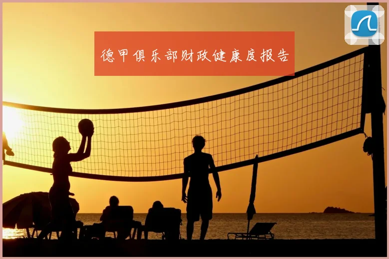 德甲俱乐部财政健康度报告